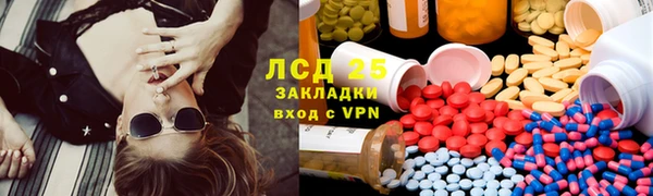 spice Богданович