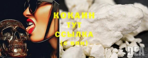 мдпв Бронницы