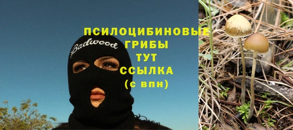 мдпв Бронницы